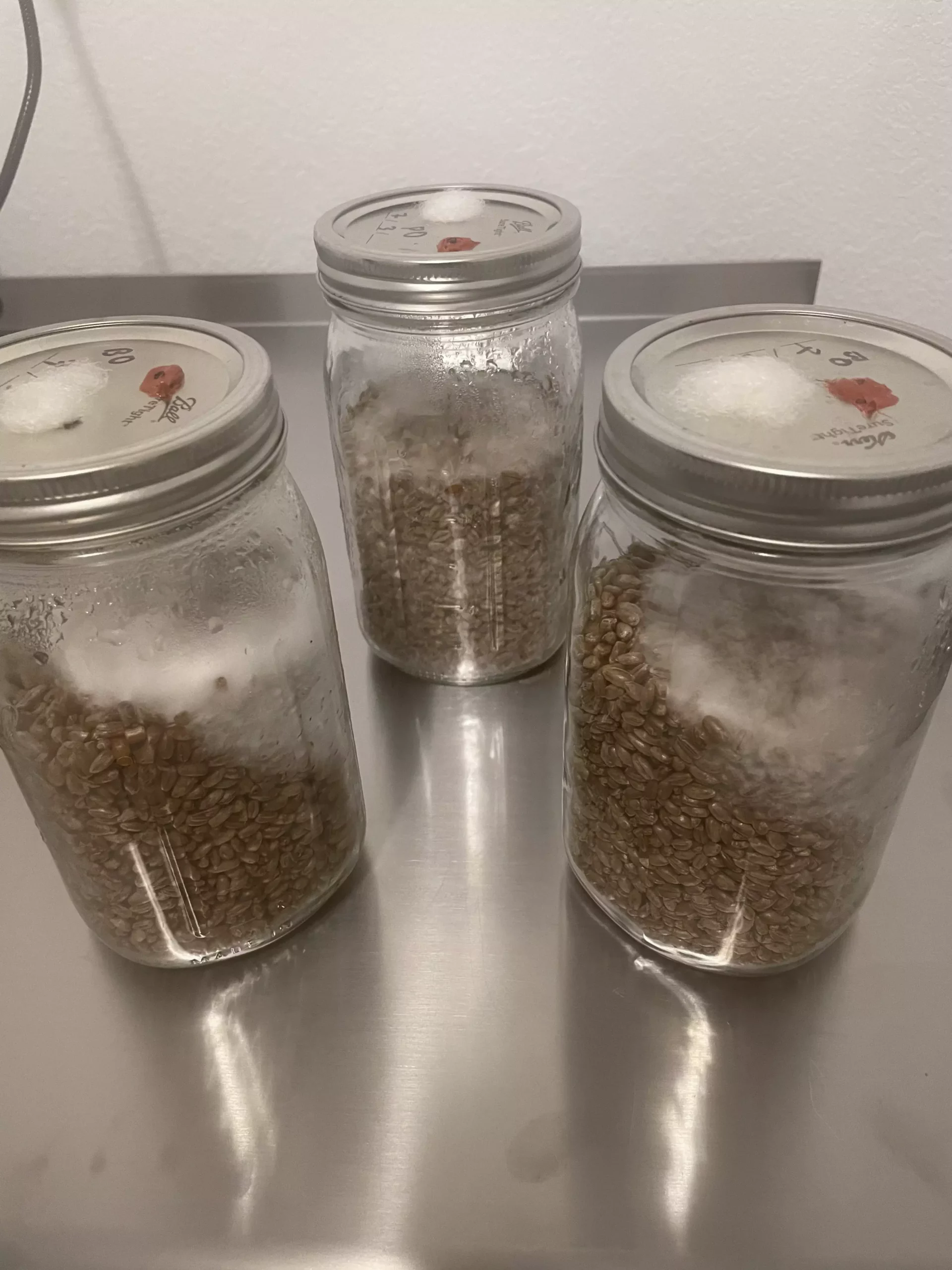 shake and break grain jars