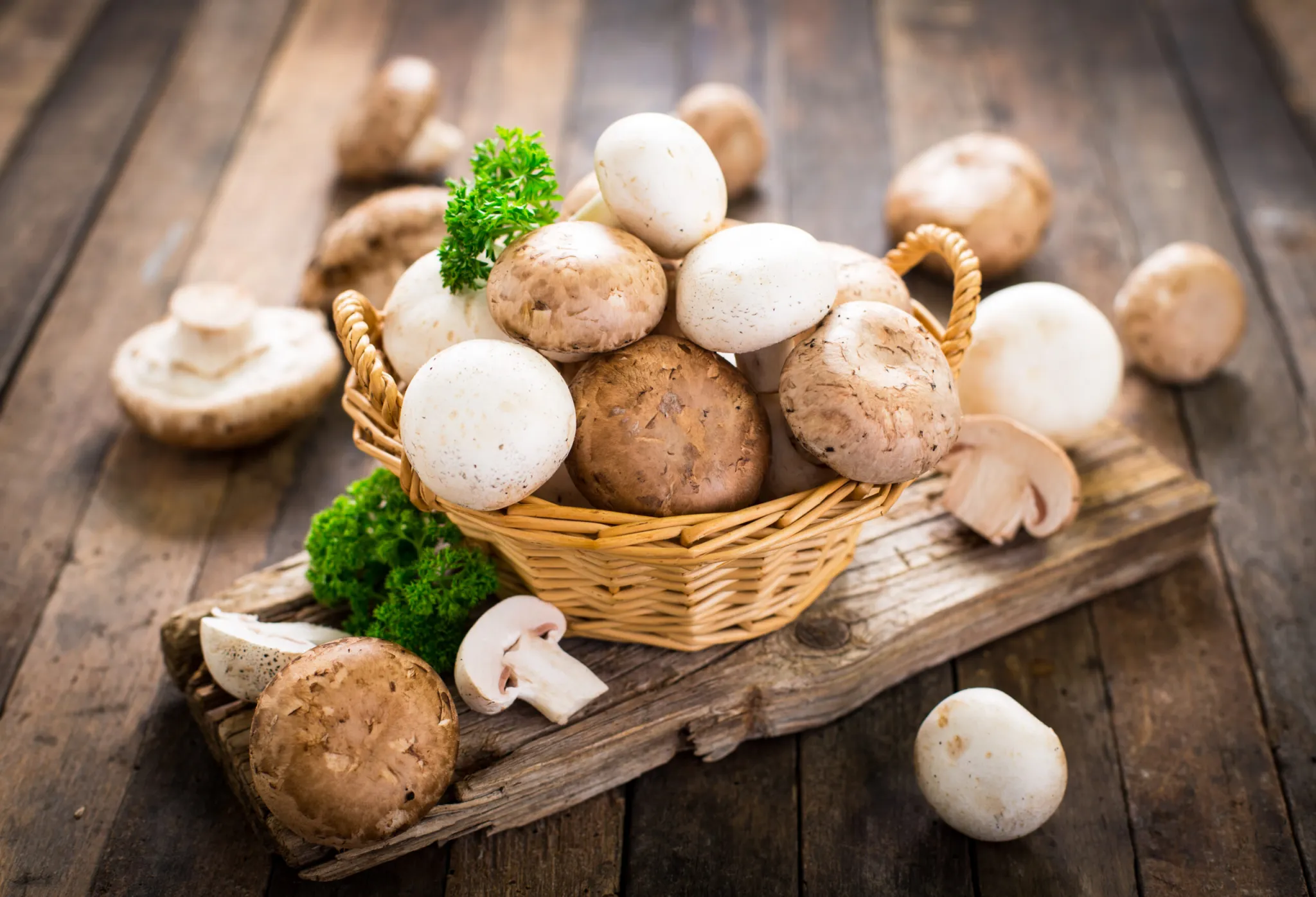 mushrooms vegan diet